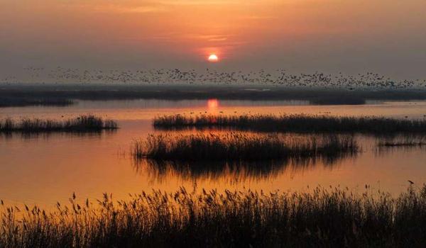 三角洲行动科技下载（提供三角洲行动科技下载链接）